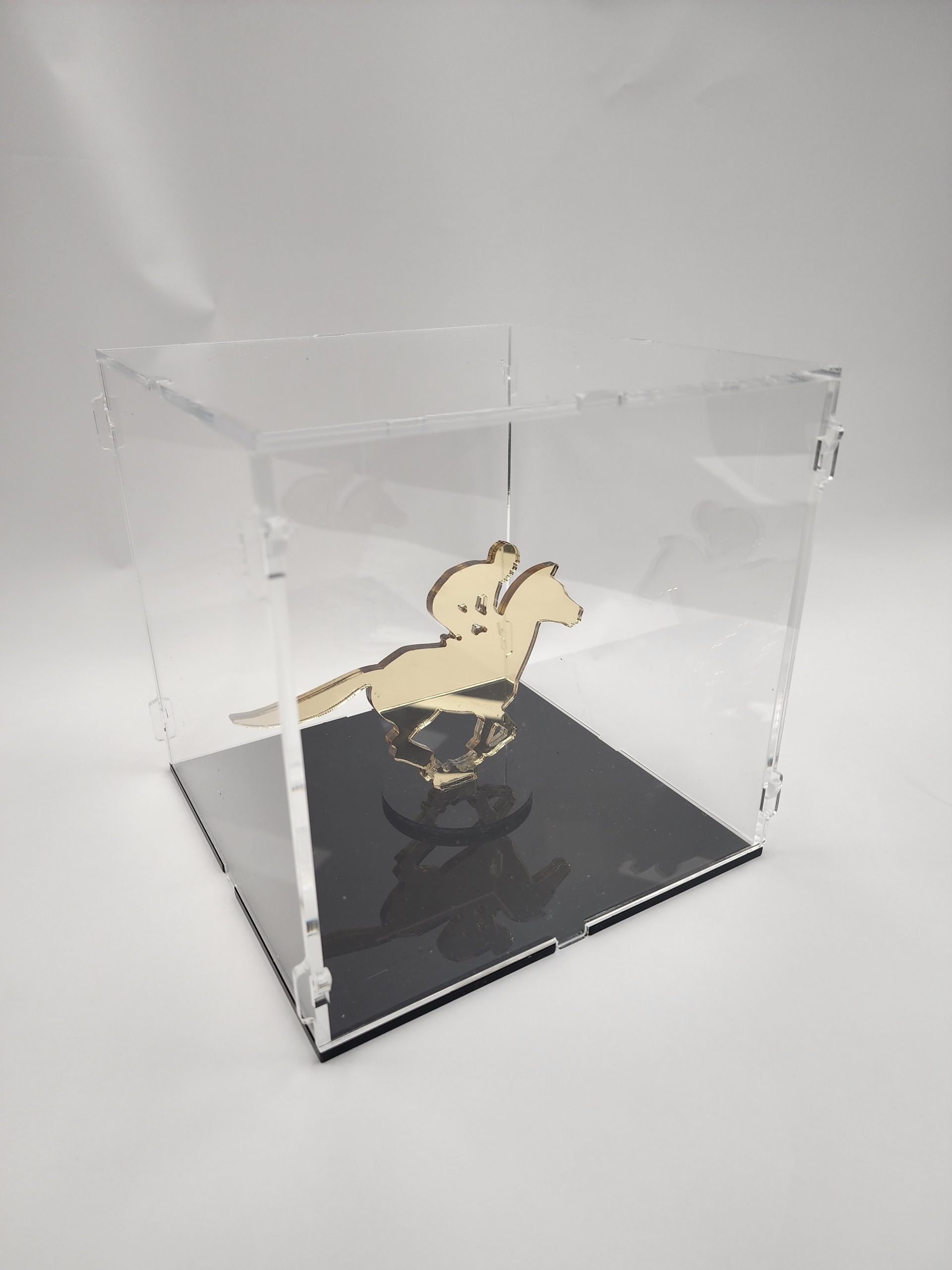 Easy Flat Pack Acrylic Display Case with base  