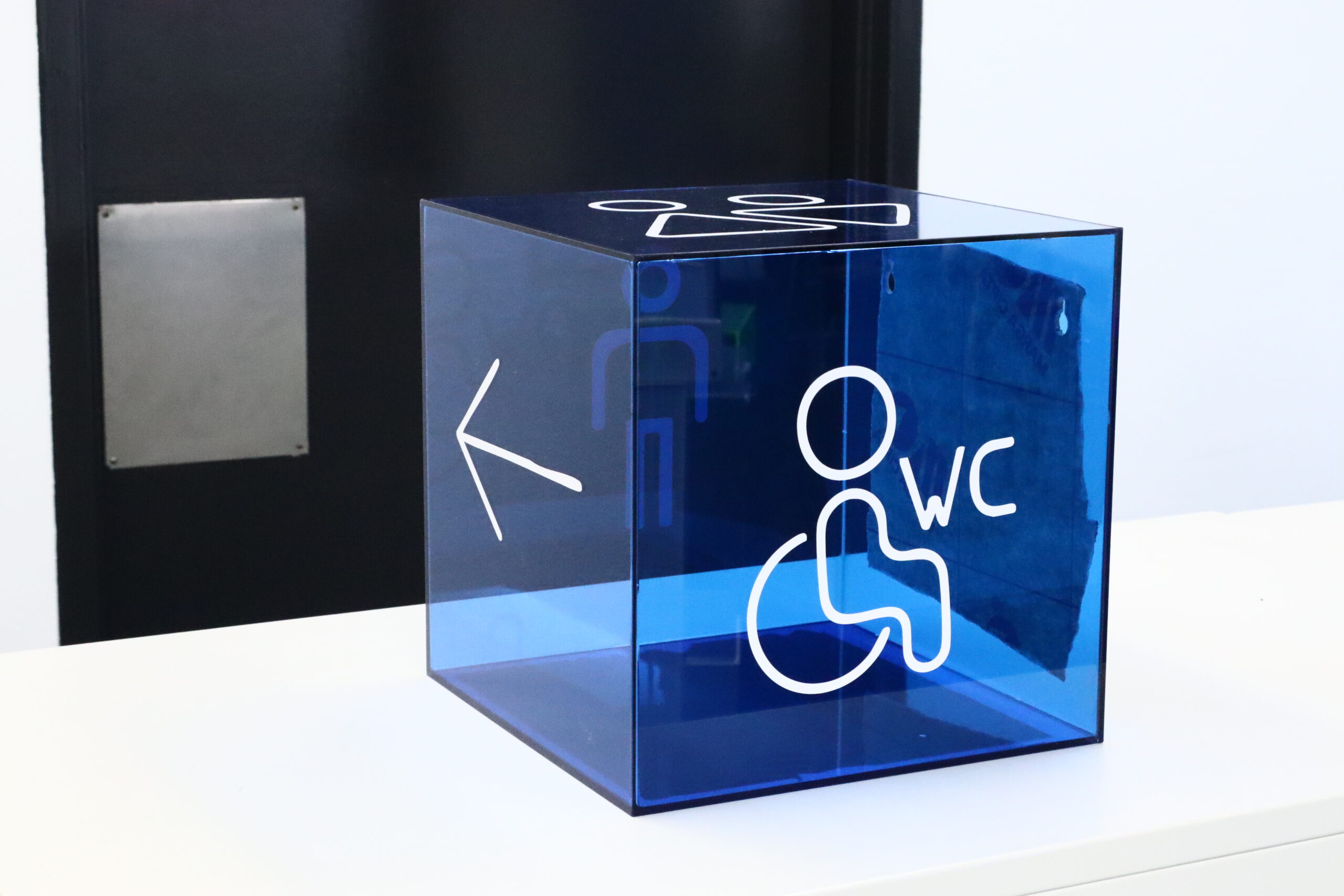 Acrylic Toilet Sign Cube  