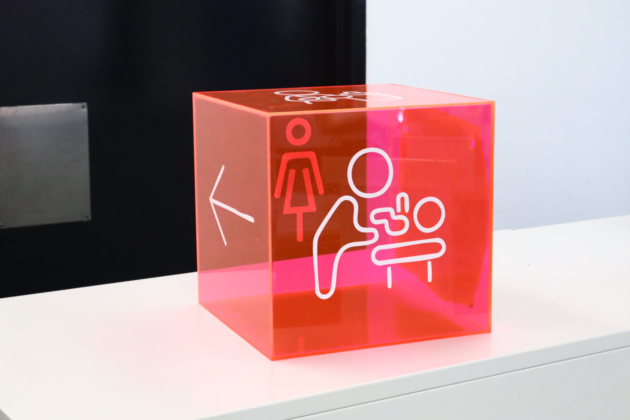 Acrylic Toilet Sign Cube  